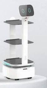 Inteligentni robot za dostavu hrane T1